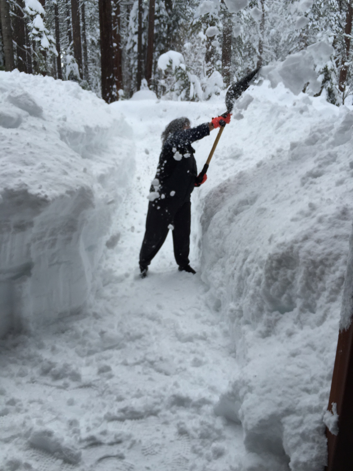 Epic January Snowfall Records In Photos Tahoe Luxury Properties