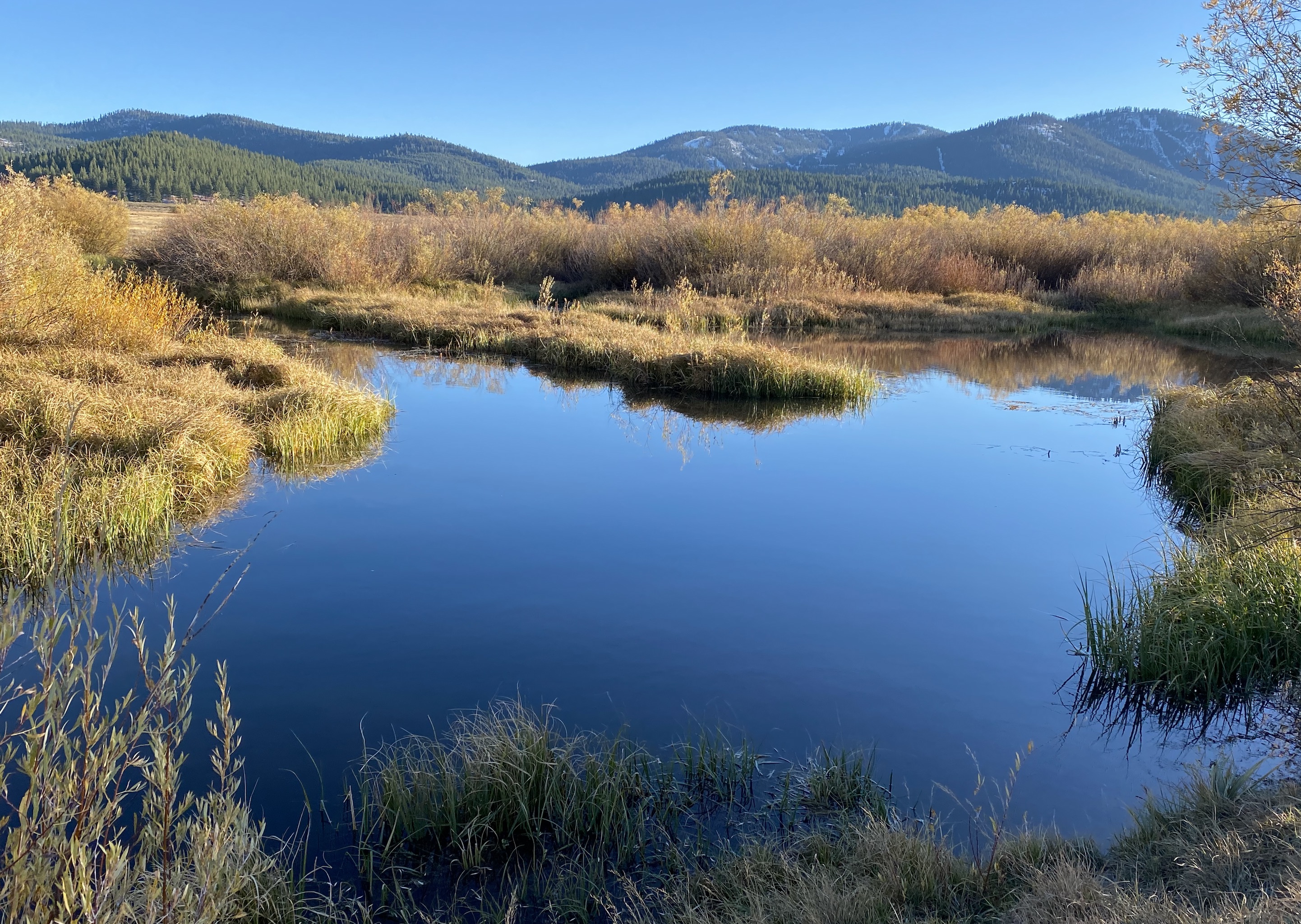 truckee fall