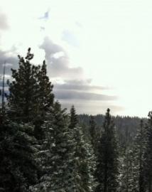 View of fresh snow and Lake Tahoe