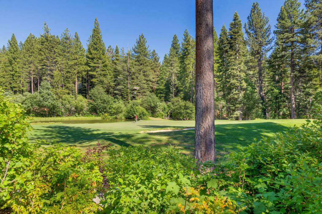 view of golf course