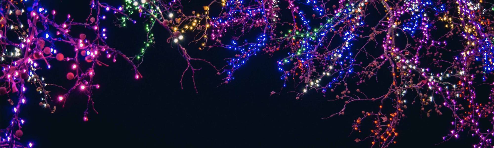 lights