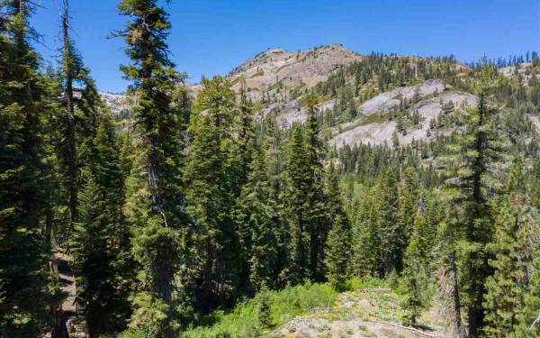 sold alpine meadows lot