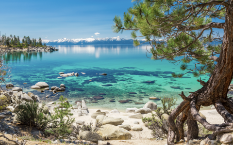 the shores of Lake Tahoe