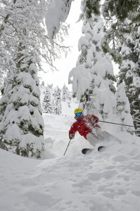 Powder skiing at Squaw Valley