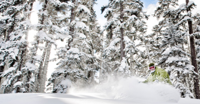 Cat Skiing in North Lake Tahoe and Truckee!