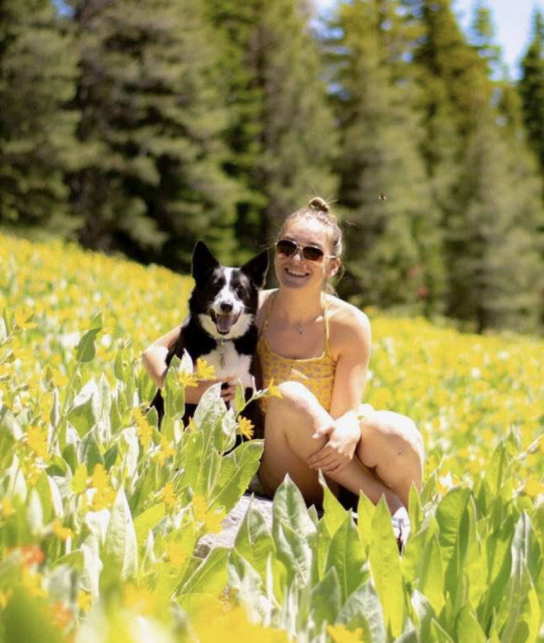 Tahoe Wildflower Season is Here!