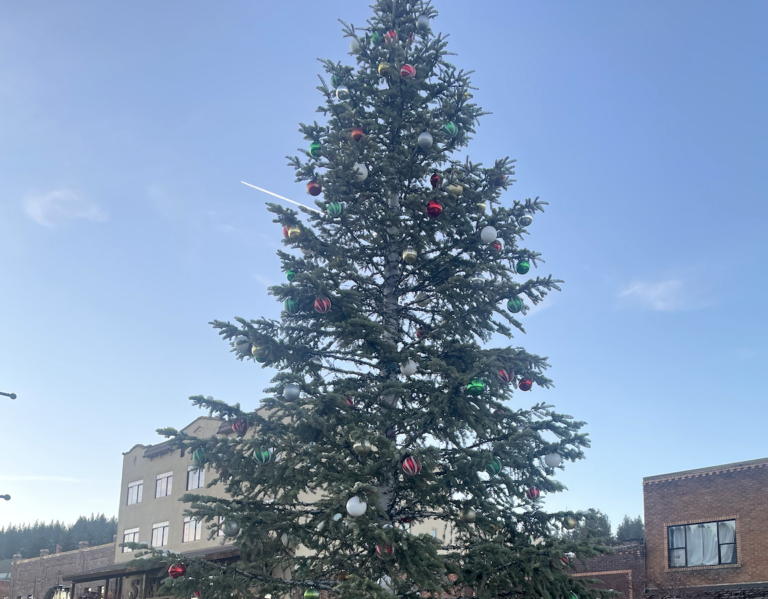 2025 Holiday Events: Tree Lightings, Santa Visits & Festive Celebrations