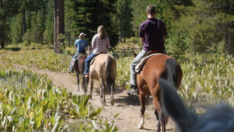 Horseback Riding