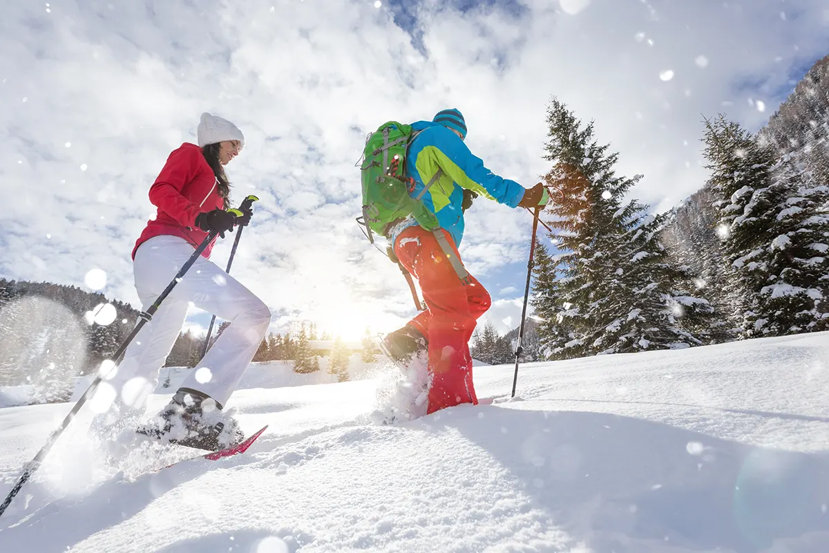 Snowshoe Trails