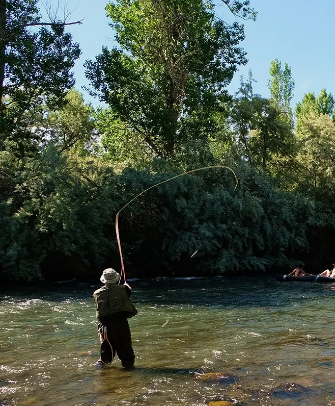 fishing image