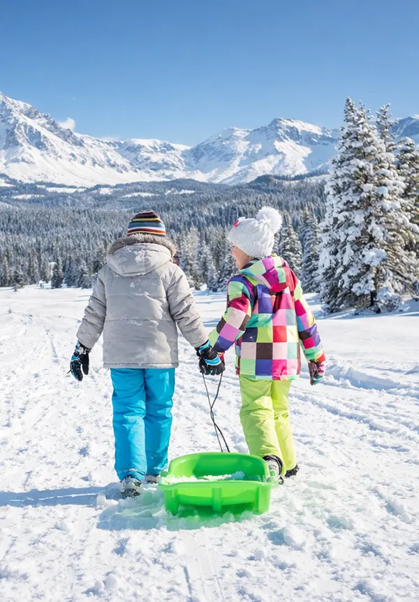 sledding final image
