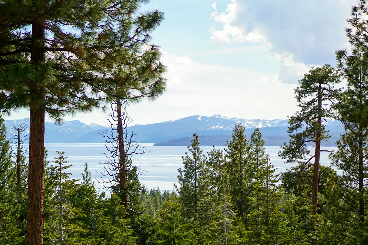 State Parks