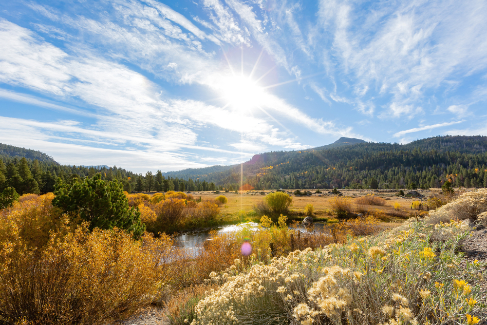 Water and mountains surrounded by fall colors in Lake Tahoe